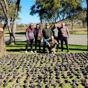 WhatsApp-Image-2023-12-07-at-12.24.03_780cfaf0