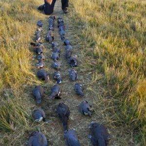 WhatsApp-Image-2023-12-07-at-12.29.18_f2631038