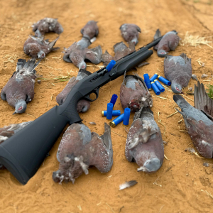 roger-berger-safaris-hunting-birds