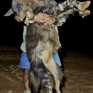 roger-berger-safaris-hunting-Dangerous-Game-artwolf