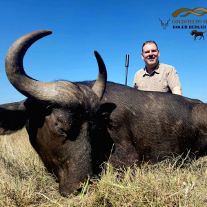 roger-berger-safaris-hunting-Dangerous-Game-buffalo2