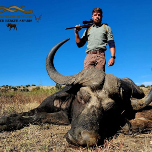 roger-berger-safaris-hunting-Dangerous-Game-buffalo4