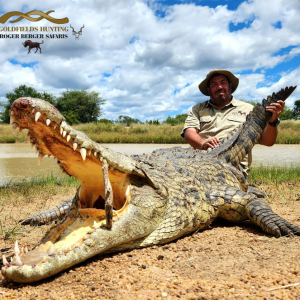 roger-berger-safaris-hunting-Dangerous-Game-croc