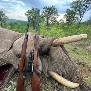 roger-berger-safaris-hunting-Dangerous-Game-elephant