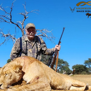 roger-berger-safaris-hunting-Dangerous-Game-lion-2
