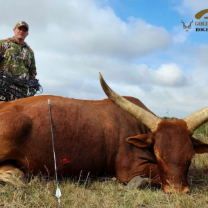 roger-berger-safaris-hunting-Dangerous-Game2