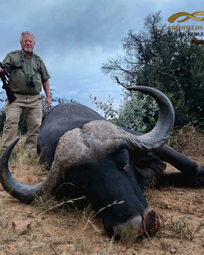 roger-berger-safaris-hunting-Dangerous-Game-buffalo3
