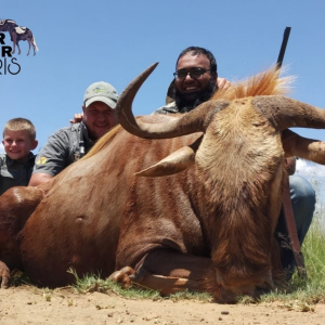 Roger Berg Safaris