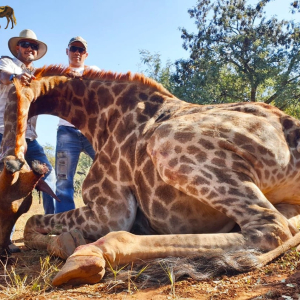 Roger Berg Safaris