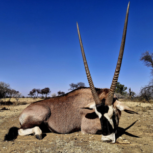 roger-berger-safaris-hunting-Plain-game4
